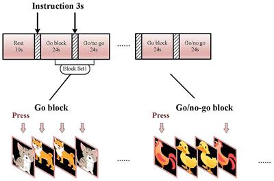 Dorsolateral prefrontal cortex dysfunction caused by a go/no-go task in children with attention-deficit hyperactivity disorder: A functional near-infrared spectroscopy study